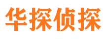 麦盖提寻人公司